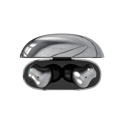Pro Earbuds